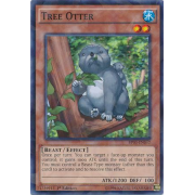 Tree Otter