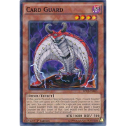 Card Guard