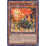 Koa'ki Meiru Beetle