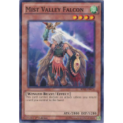 Mist Valley Falcon