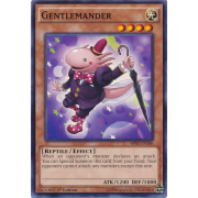 BP03-EN106 Gentlemander Commune