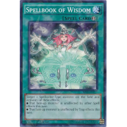 Spellbook of Wisdom