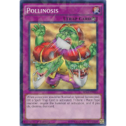 Pollinosis
