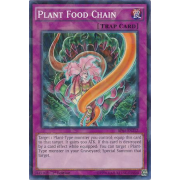 Plant Food Chain