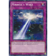 Miracle's Wake