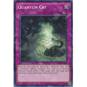 Quantum Cat