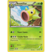 XY3_2/111 Boustiflor Peu commune