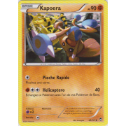 XY3_49/111 Kapoera Peu commune