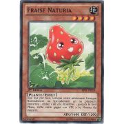 BP01-FR210 Fraise Naturia Commune