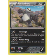 XY3_68/111 Pandarbare Rare