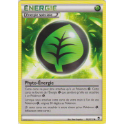 XY3_103/111 Phyto-Énergie Peu commune