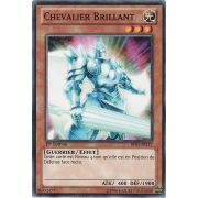 BP01-FR217 Chevalier Brillant Commune