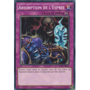 MP14-FR053 Absorption de l'Esprit Commune