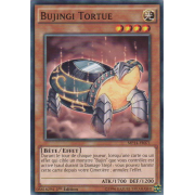 MP14-FR071 Bujingi Tortue Commune