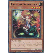 MP14-FR087 Traptrix Nepenthes Commune
