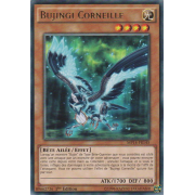 MP14-FR145 Bujingi Corneille Rare