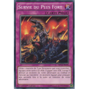 MP14-FR178 Survie du Plus Fort Commune