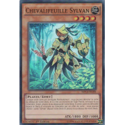 MP14-FR199 Chevalifeuille Sylvan Super Rare