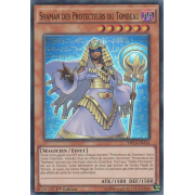 MP14-FR214 Shaman des Protecteurs du Tombeau Super Rare