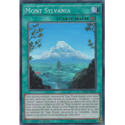 MP14-FR227 Mont Sylvania Super Rare