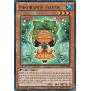 MP14-FR238 Mikorange Sylvan Rare