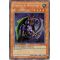 CT2-EN006 Panther Warrior Secret Rare