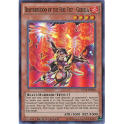 CT11-EN003 Brotherhood of the Fire Fist - Gorilla Super Rare