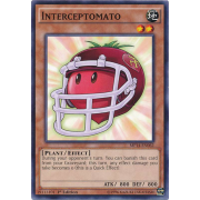 MP14-EN062 Interceptomato Commune