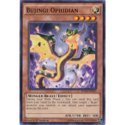 MP14-EN074 Bujingi Ophidian Commune