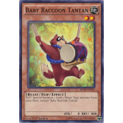 MP14-EN137 Baby Raccoon Tantan Commune