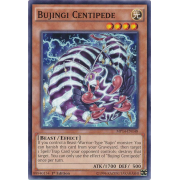 MP14-EN148 Bujingi Centipede Commune