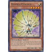 MP14-EN208 Bujingi Peacock Rare