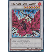 LC05-FR004 Dragon Rose Noire Ultra Rare