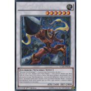 LC5D-FR038 Guerrier Foreur Secret Rare