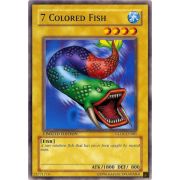 GLD1-EN001 7 Colored Fish Commune