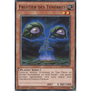LC5D-FR087 Fruitier des Ténèbres Commune