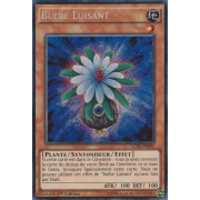 LC5D-FR092 Bulbe Luisant Secret Rare