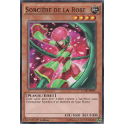 LC5D-FR097 Sorcière de la Rose Commune