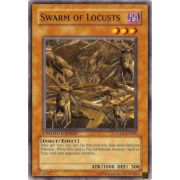 GLD1-EN009 Swarm of Locusts Commune