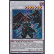 LC5D-FR132 Aile Noire - Maître des Armures Secret Rare