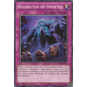 LC5D-FR157 Résurrection des Immortels Commune