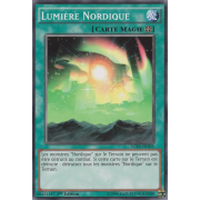 LC5D-FR195 Lumière Nordique Commune