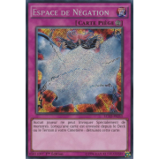 LC5D-FR253 Espace de Négation Secret Rare