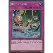 LC5D-FR255 Dévoilement Secret Rare