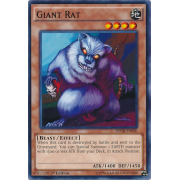 SDGR-EN020 Giant Rat Commune
