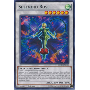 LC5D-EN100 Splendid Rose Rare