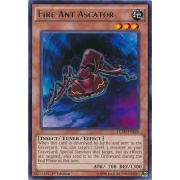 LC5D-EN224 Fire Ant Ascator Rare