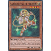 NECH-FR028 Satellchevalier Procyon Commune