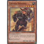 NECH-FR093 Cocher Dododo Commune