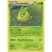 XY4_6/119 Couverdure Peu commune